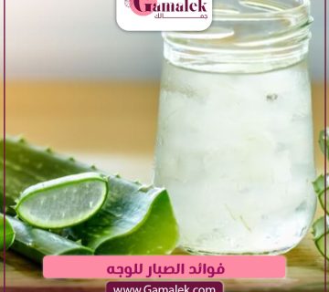 فوائد الصبار للوجه
