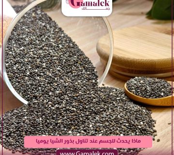 ماذا يحدث للجسم عند تناول بذور الشيا يوميا؟