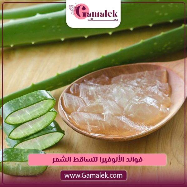 فوائد الألوفيرا لتساقط الشعر