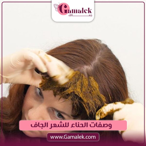 فوائد الحناء للشعر الجاف