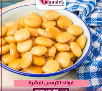 فوائد الترمس للبشرة