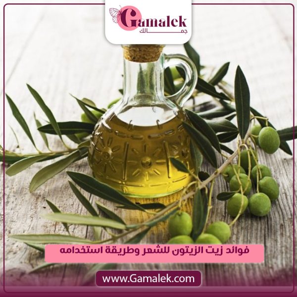 فوائد زيت الزيتون للشعر وطريقة استخدامه