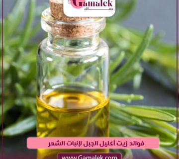 فوائد زيت إكليل الجبل لإنبات الشعر
