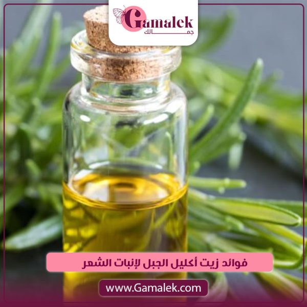 فوائد زيت إكليل الجبل لإنبات الشعر