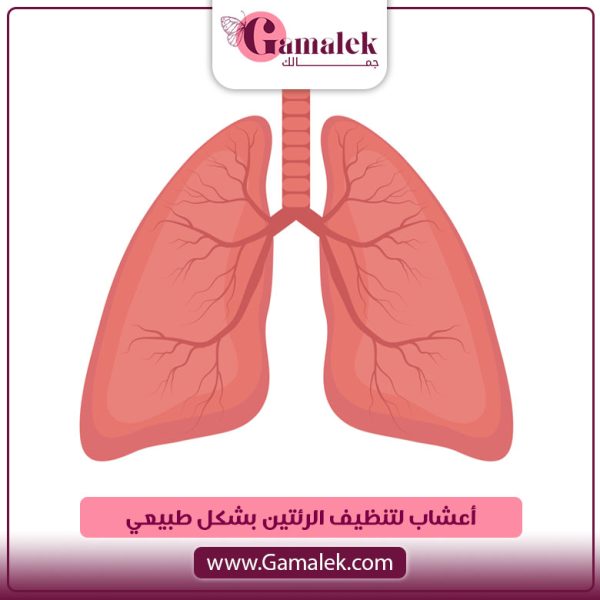 أعشاب لتنظيف الرئتين بشكل طبيعي