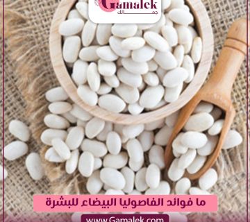 ما فوائد الفاصوليا البيضاء للبشرة؟