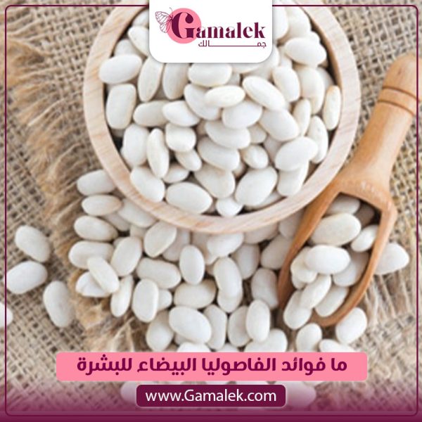 ما فوائد الفاصوليا البيضاء للبشرة؟