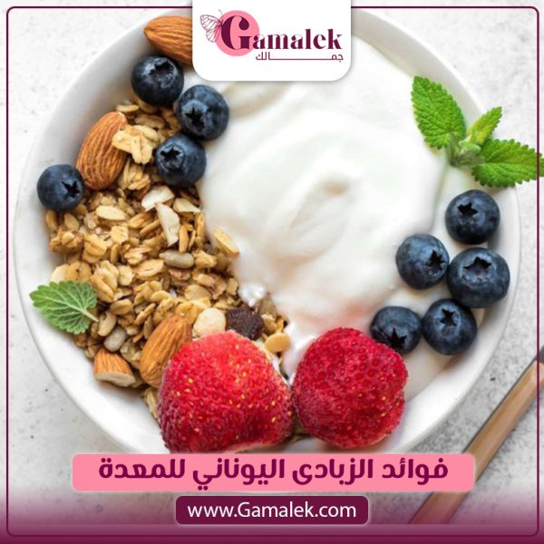 فوائد الزبادي اليوناني للمعدة 