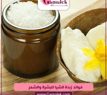 فوائد زبدة الشيا للبشرة والشعر