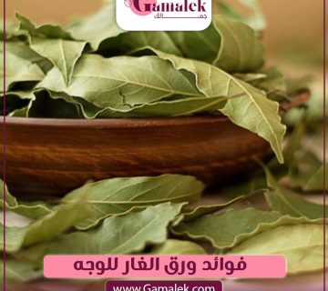 ما هي فوائد ورق الغار للوجه؟