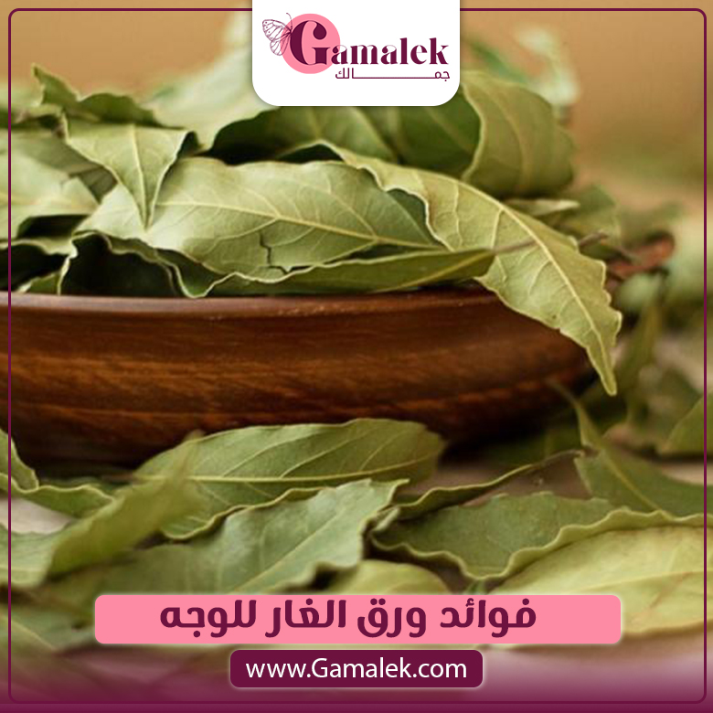 ما هي فوائد ورق الغار للوجه؟