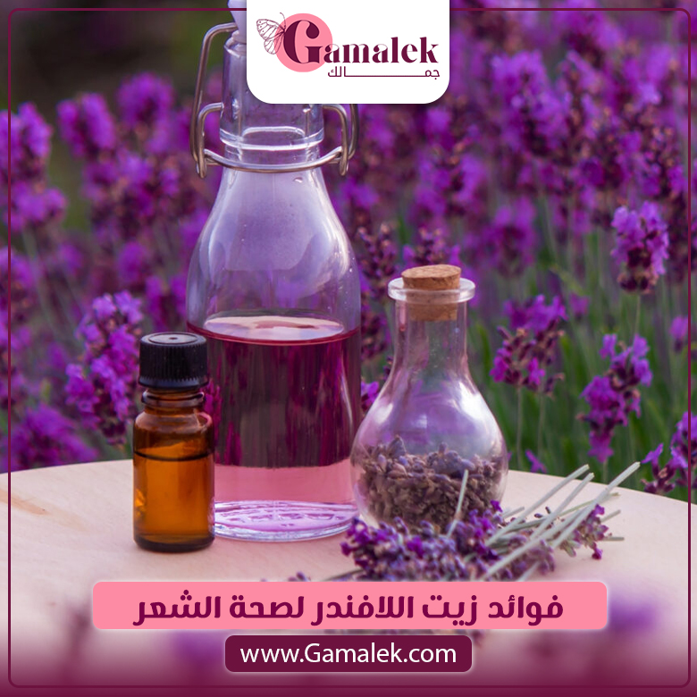 فوائد زيت اللافندر لصحة الشعر