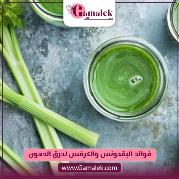فوائد البقدونس والكرفس لحرق الدهون 