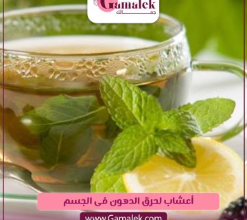 أعشاب لحرق الدهون في الجسم