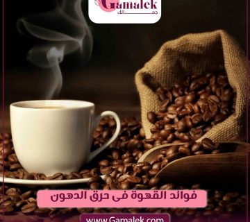 فوائد القهوة في حرق الدهون
