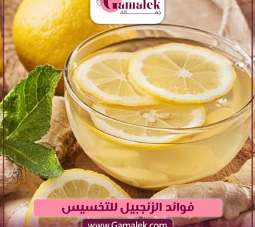 فوائد الزنجبيل للتخسيس