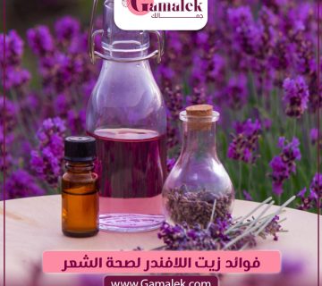 فوائد زيت اللافندر لصحة الشعر
