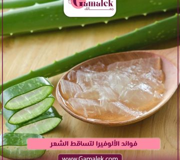 فوائد الألوفيرا لتساقط الشعر