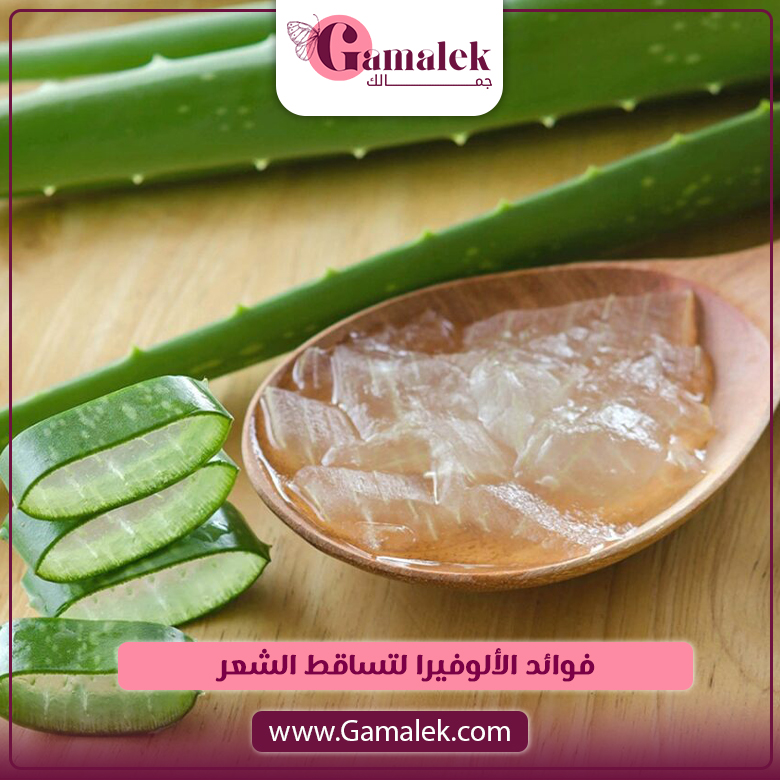 فوائد الألوفيرا لتساقط الشعر