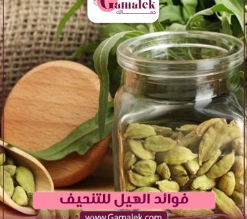 فوائد الهيل للتنحيف