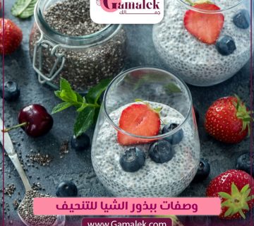 وصفات ببذور الشيا للتنحيف