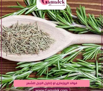 فوائد الروزماري أو إكليل الجبل للشعر