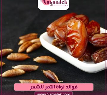 فوائد نواة التمر للشعر