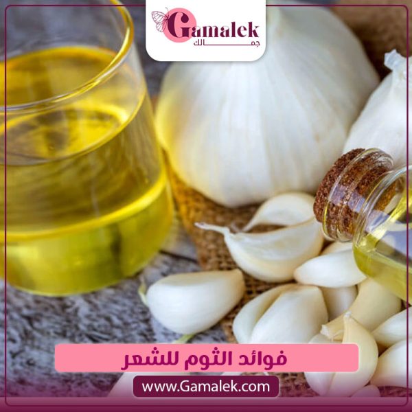فوائد الثوم للشعر