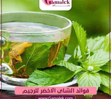 فوائد الشاي الأخضر للرجيم