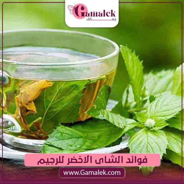 فوائد الشاي الأخضر للرجيم
