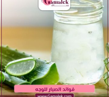 فوائد الصبار للوجه