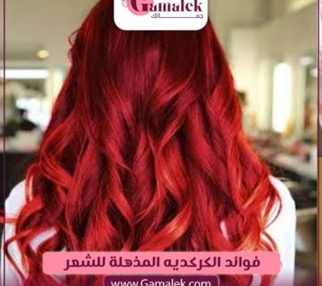 فوائد الكركديه المذهلة للشعر